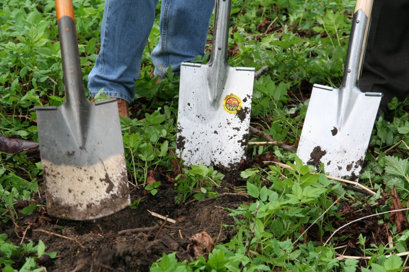 pepiniere-COTIGNAC-min_work-lawn-flower-tool-green-backyard-1103633-pxhere.com